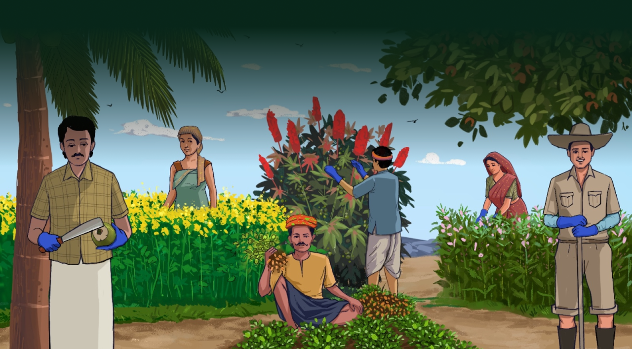 WOOD COLD PRESSED OILS